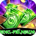 668brl Gaming Premium