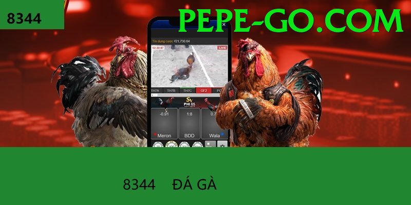 Đá Gà Trực Tiếp - pepe - Bang hội